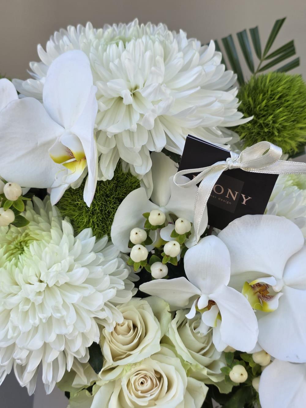 Pristine White Grace